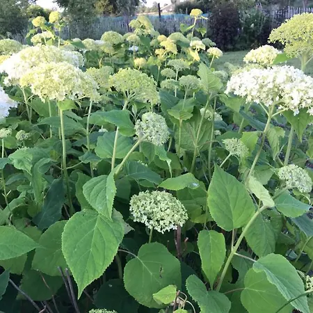 De Tuinschuur * Empe