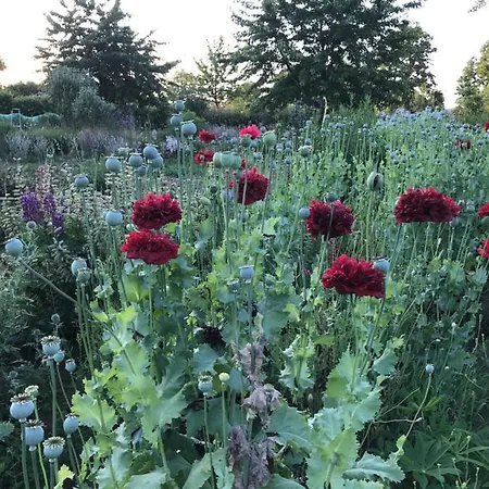 De Tuinschuur Empe