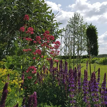 De Tuinschuur Frühstückspension Empe