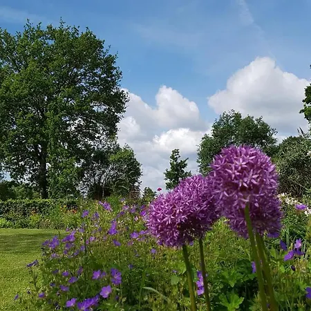 De Tuinschuur Bed & Breakfast Empe