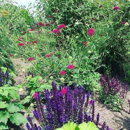 De Tuinschuur Bed & Breakfast