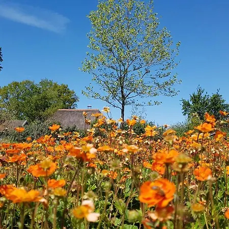 Bed & Breakfast De Tuinschuur