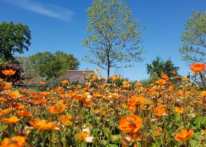 Bed and breakfast De Tuinschuur