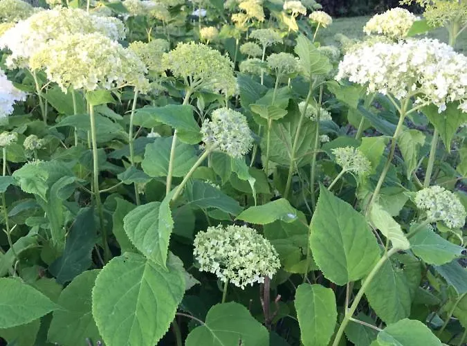 De Tuinschuur 3* Empe