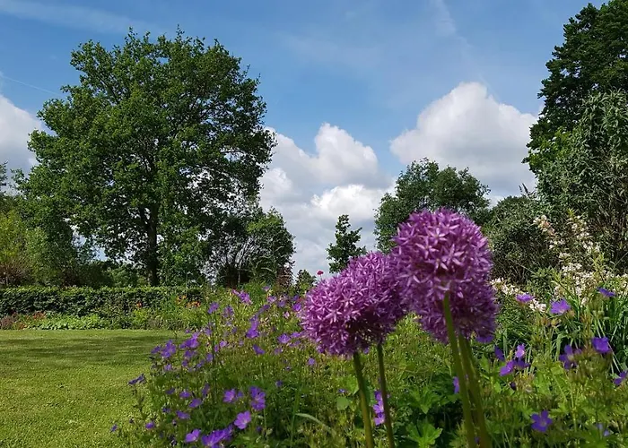 De Tuinschuur לינה וארוחת בוקר Empe