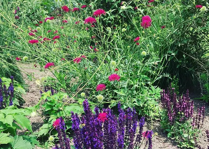 De Tuinschuur לינה וארוחת בוקר